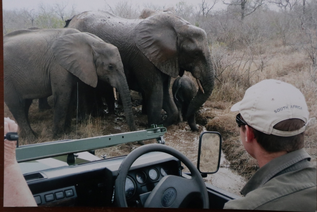 Kruger National Park South Africa