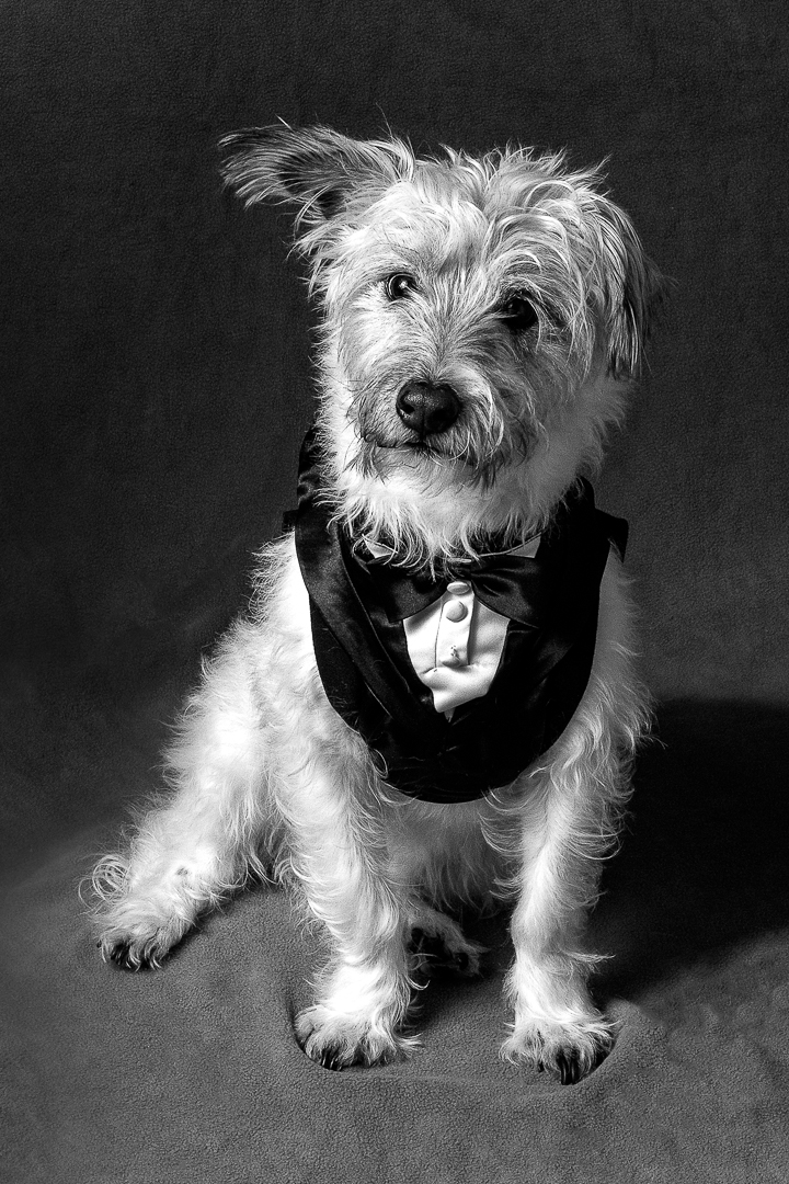 The Names Mac by Nerissa Byrne