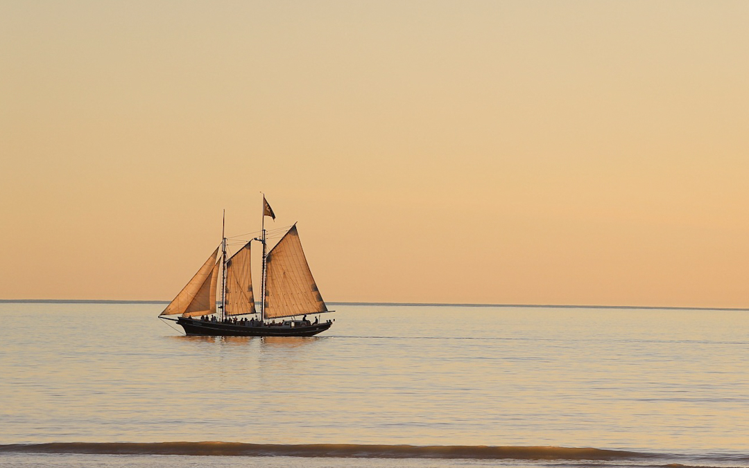 Sunset Cruises by Noelle Clemow